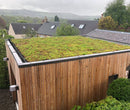 GrufeKit Sedum & Wildflower Green Roof Module 540mm x 540mm