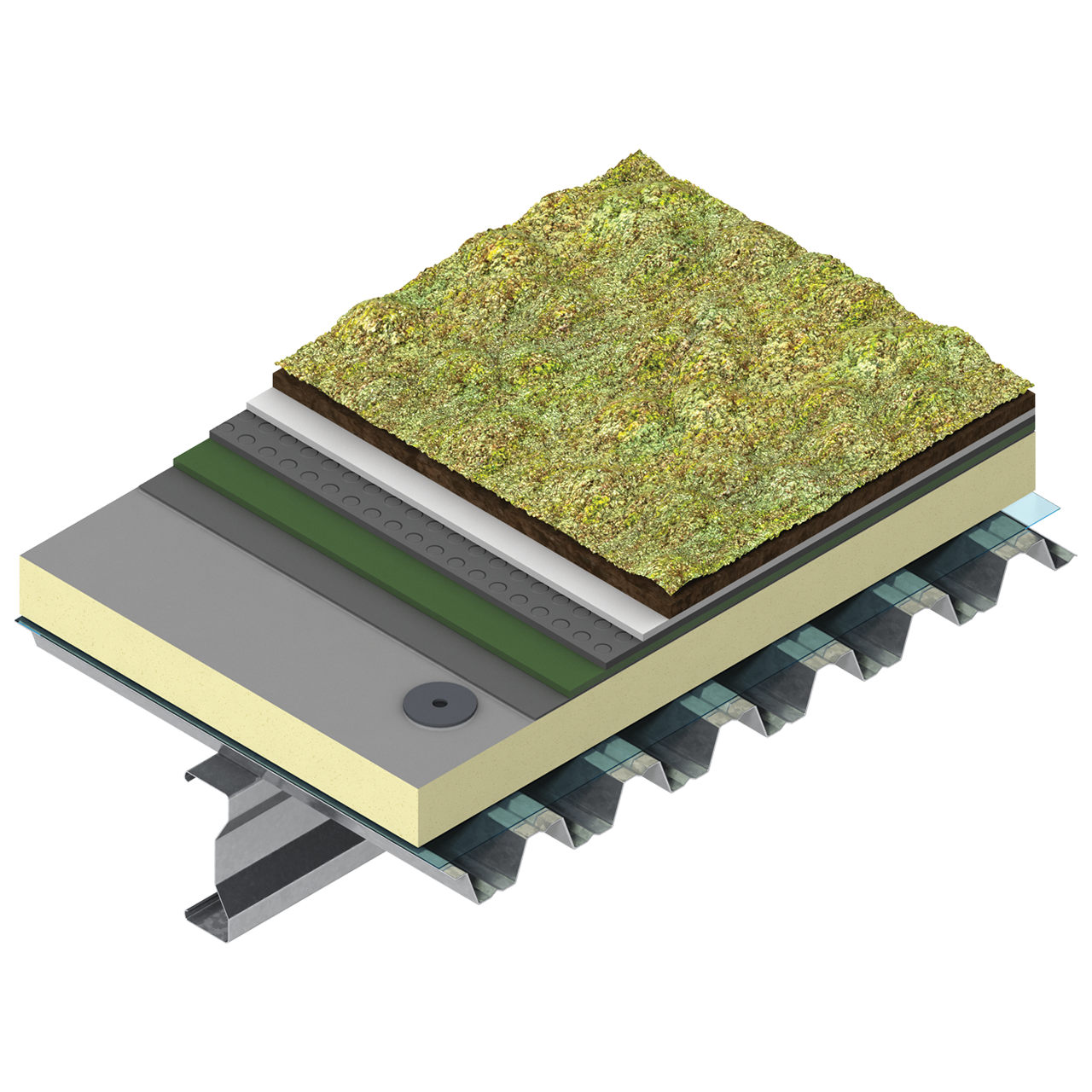 Green roof build-up on metal deck with Kingspan TR26 insulation, root-resistant membrane, drainage layers, growing medium, and vegetation.