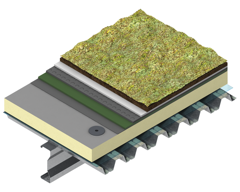 Green roof build-up on metal deck with Kingspan TR26 insulation, root-resistant membrane, drainage layers, growing medium, and vegetation.