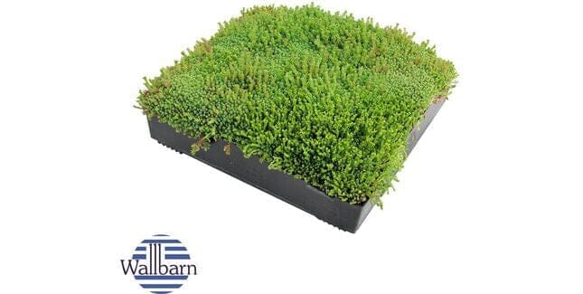 Wallbarn Green Roofing System