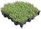 GrufeKit Sedum Green Roof Module 540mm x 540mm