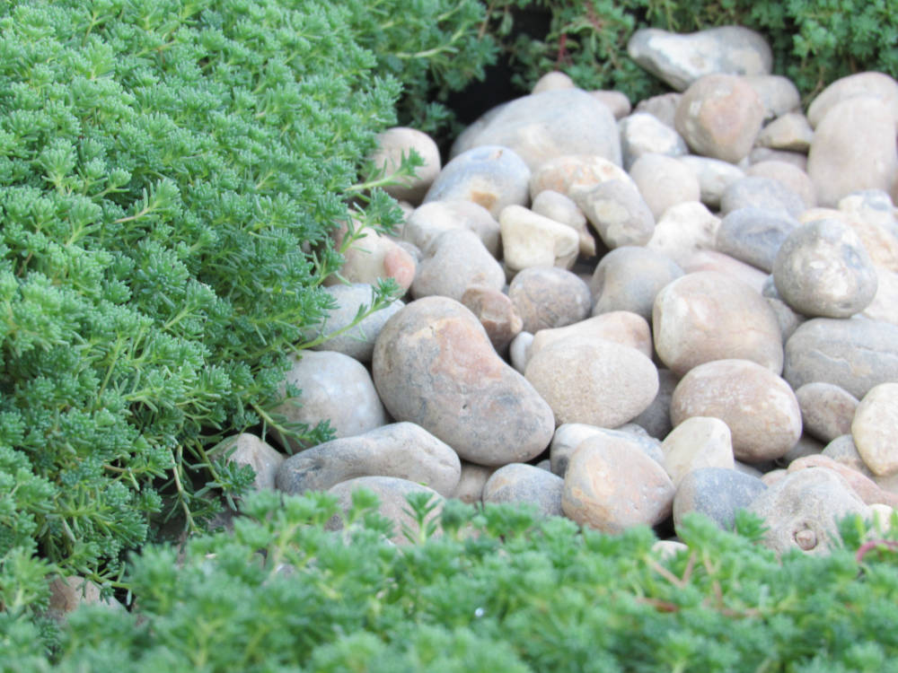 Wallbarn 20-40mm Washed Rounded Green Roof Fire Break Pebbles - 1 Tonne Bag