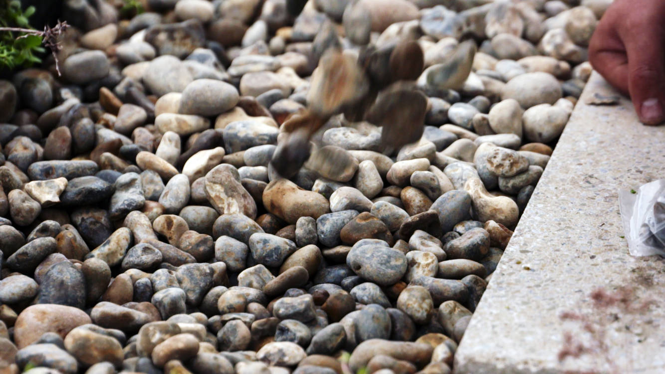 Wallbarn 20-40mm Washed Rounded Green Roof Fire Break Pebbles - 25kg