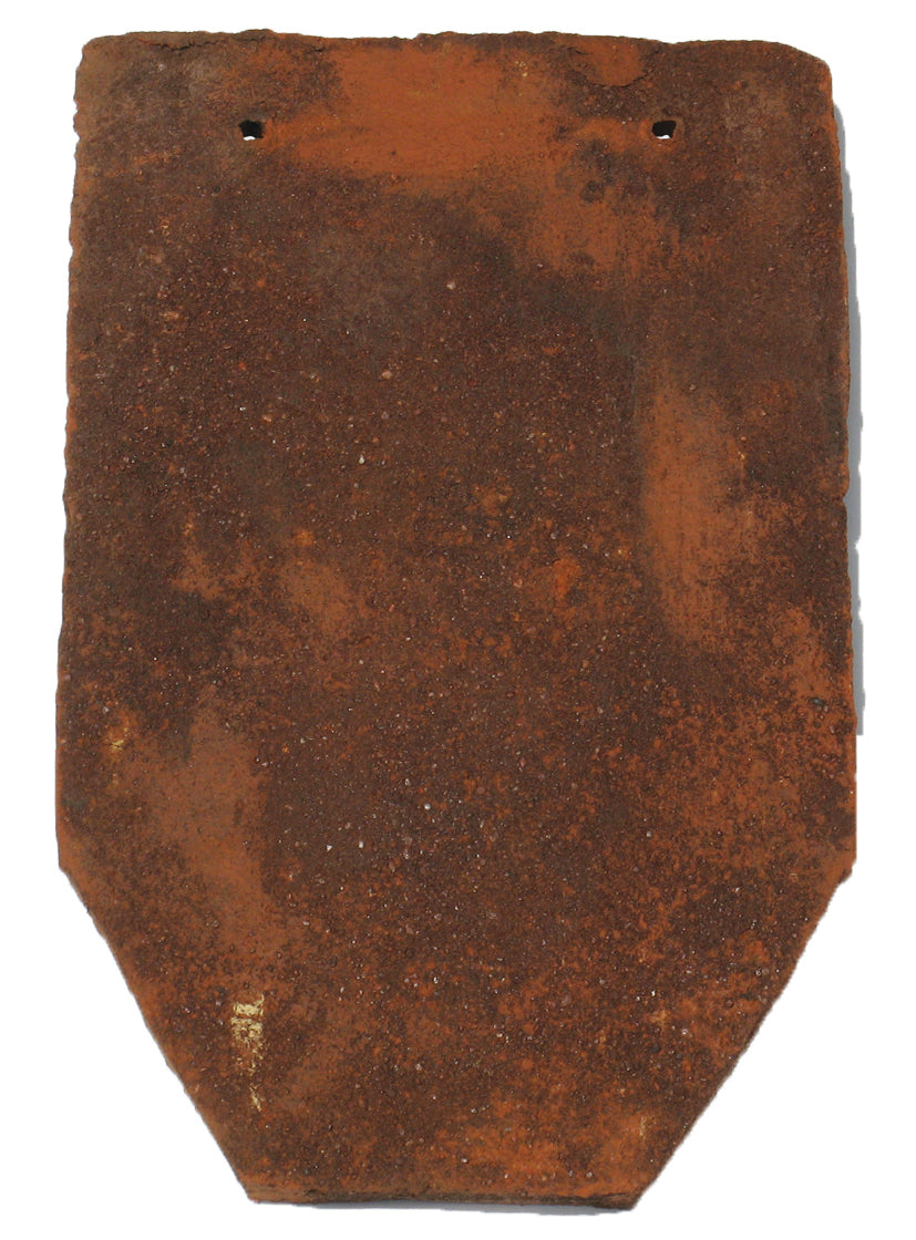 Snub Nose roof tile with a distinctive angular profile and handmade clay texture.