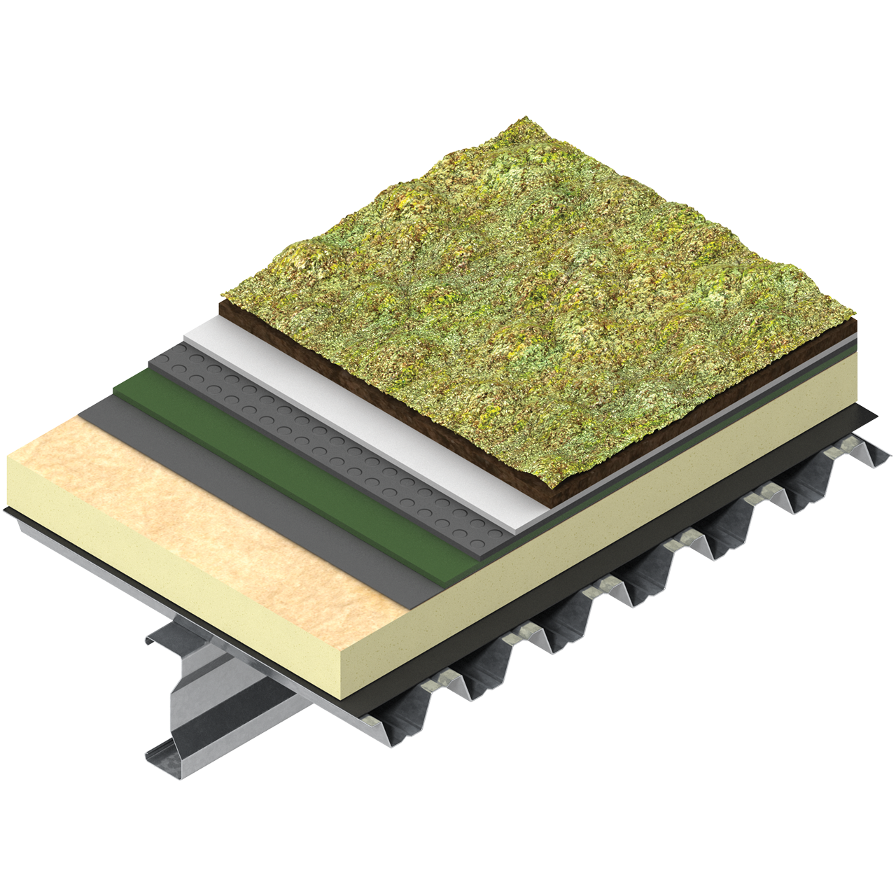Green roof system over a metal deck, with PIR insulation, black waterproofing layer, drainage layers, growing medium, and sedum vegetation.
