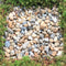 Wallbarn 20-40mm Washed Rounded Green Roof Fire Break Pebbles - 25kg